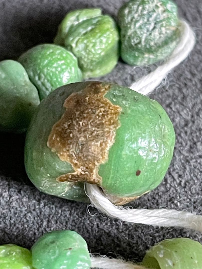 古墳期　硝子玉一連　風化　出土品　とんぼ玉