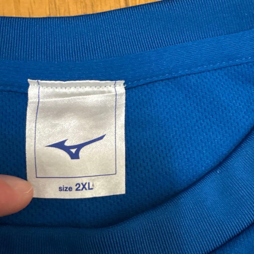 日本体育大学 バレーボール 2022