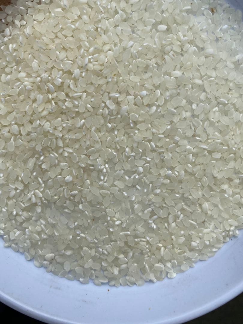 コシヒカリ　丹波産　中米　20キロ