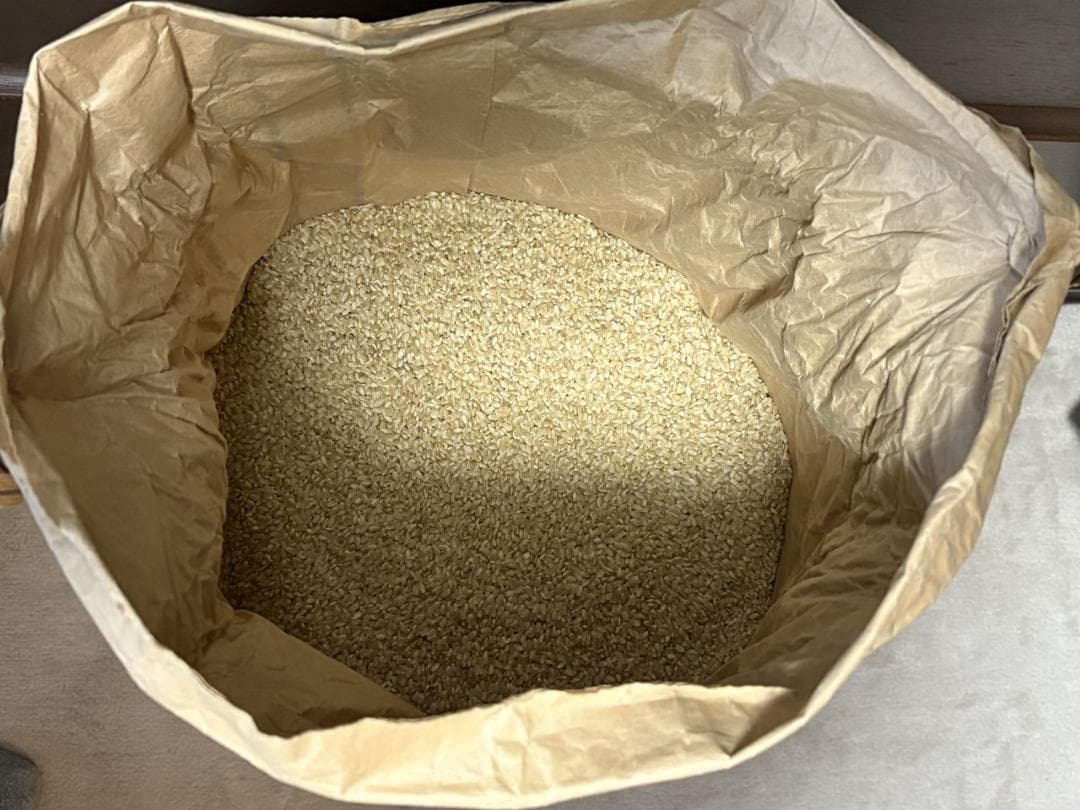 兵庫県産　コシヒカリ　玄米　30kg