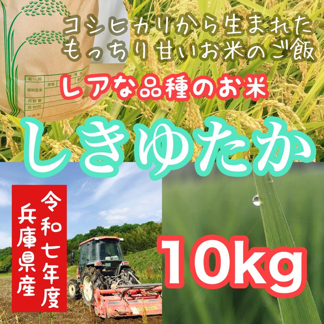 【レア品種 シキユタカ】兵庫県産新米＊湧き水育ち農家のお米 10kg