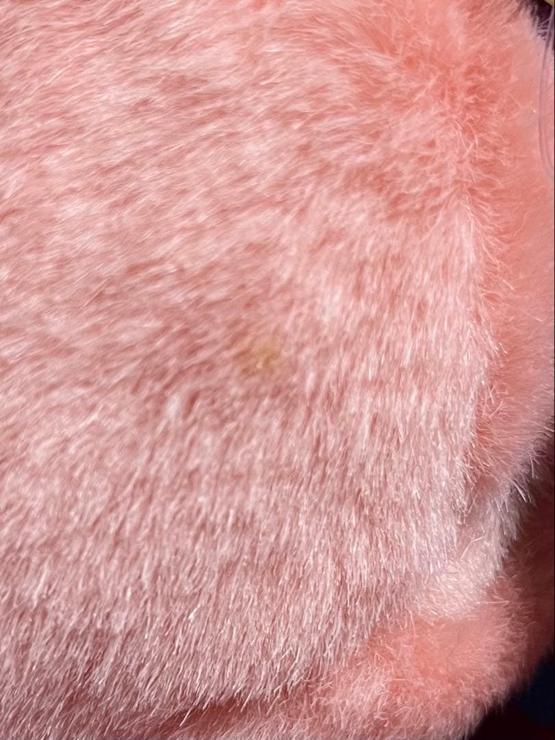 ドラゴンクエストモンスターズ2 わるぼう 並品