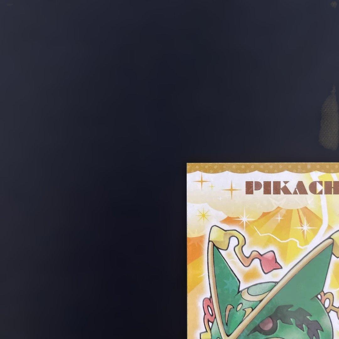ポンチョを着たピカチュウ　名刺カード　メガレックウザ　カードファイルセット