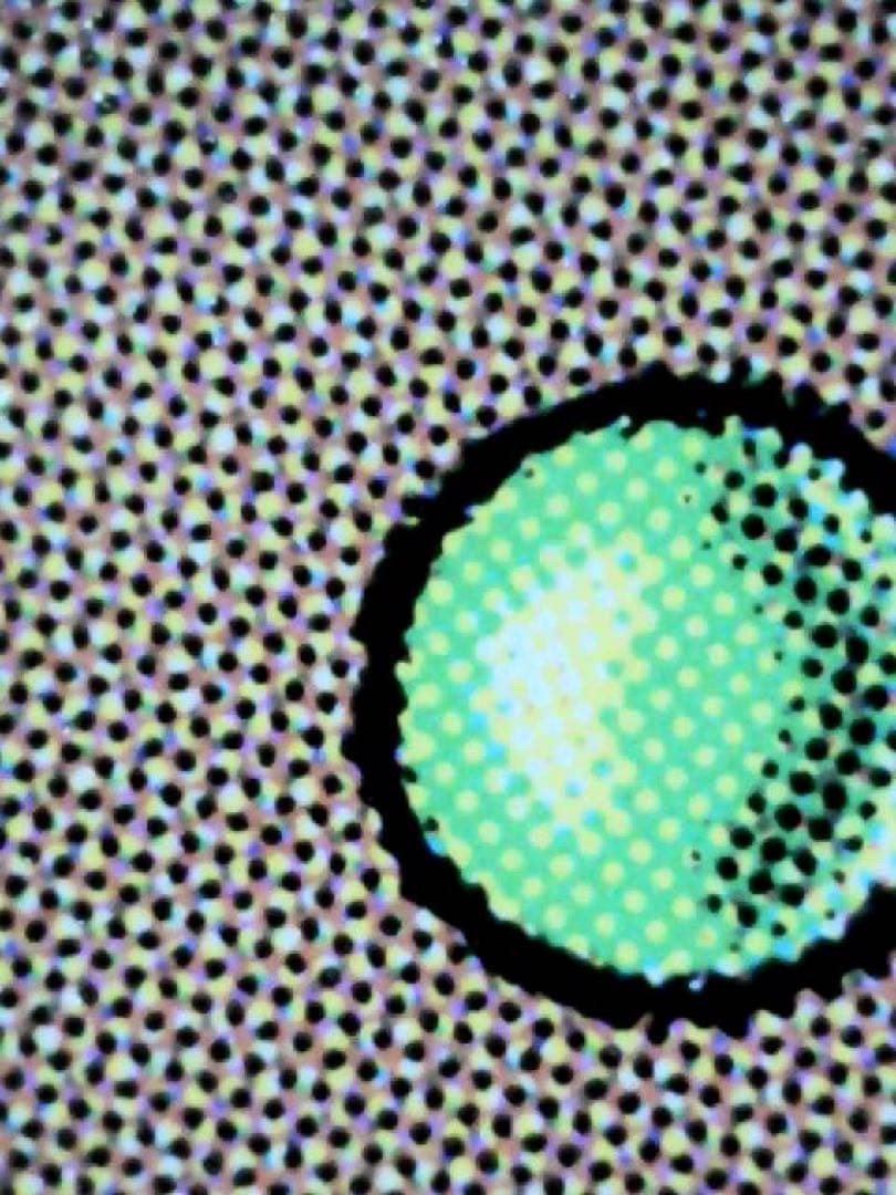 MTG ラノワールのエルフ ジャパンショーケース foil