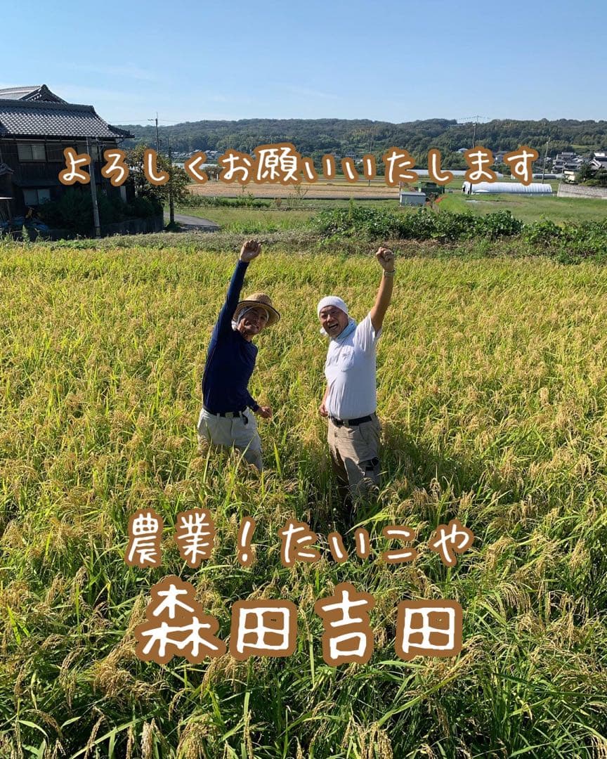 自然栽培【イセヒカリ】白米20kg[5kg×4袋]新米 無農薬無施肥の自然栽培米