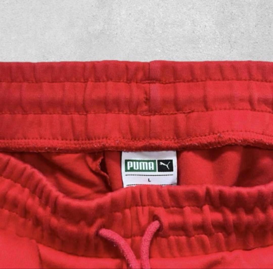 PUMA セットアップ