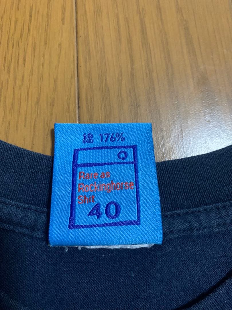 希少 オールド ビンテージ 176 Tシャツ SLAM CITY SKATE