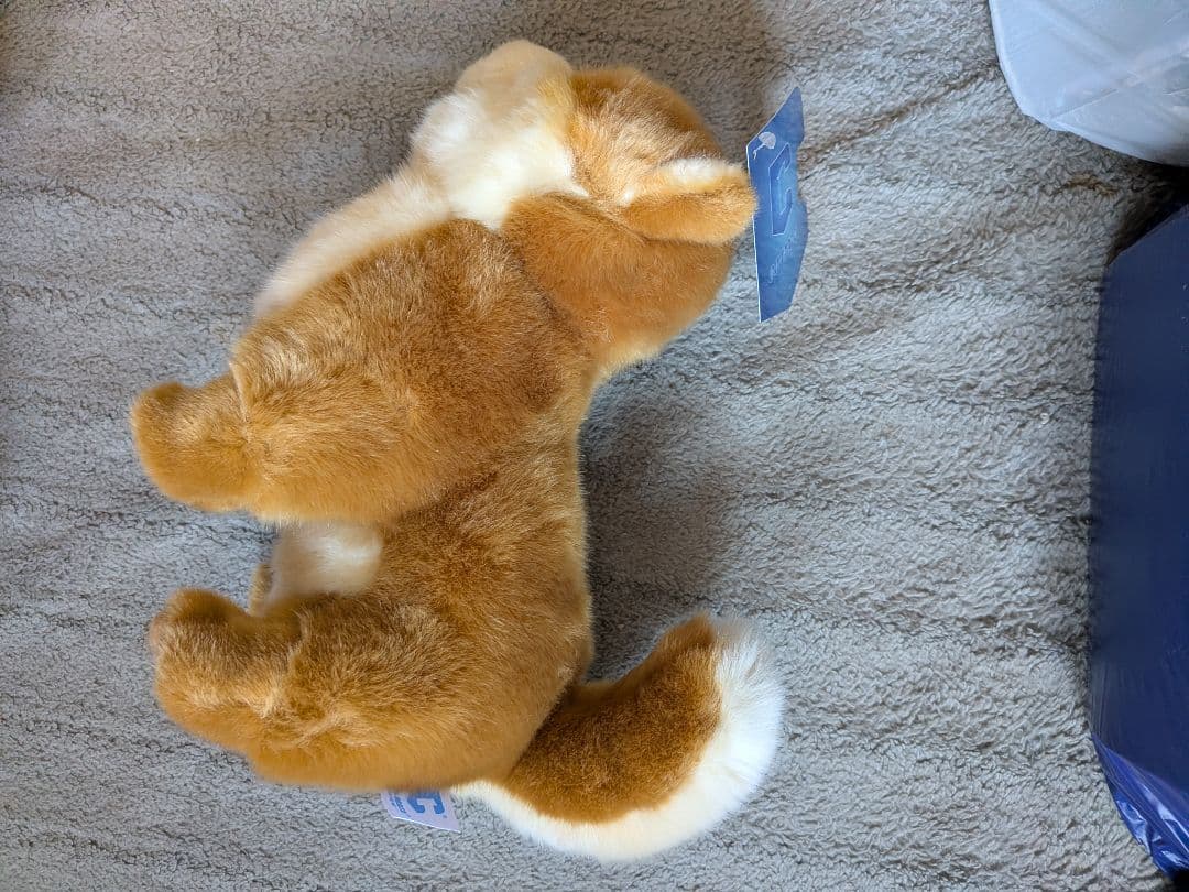 ((激レア))櫻坂46 しかくに