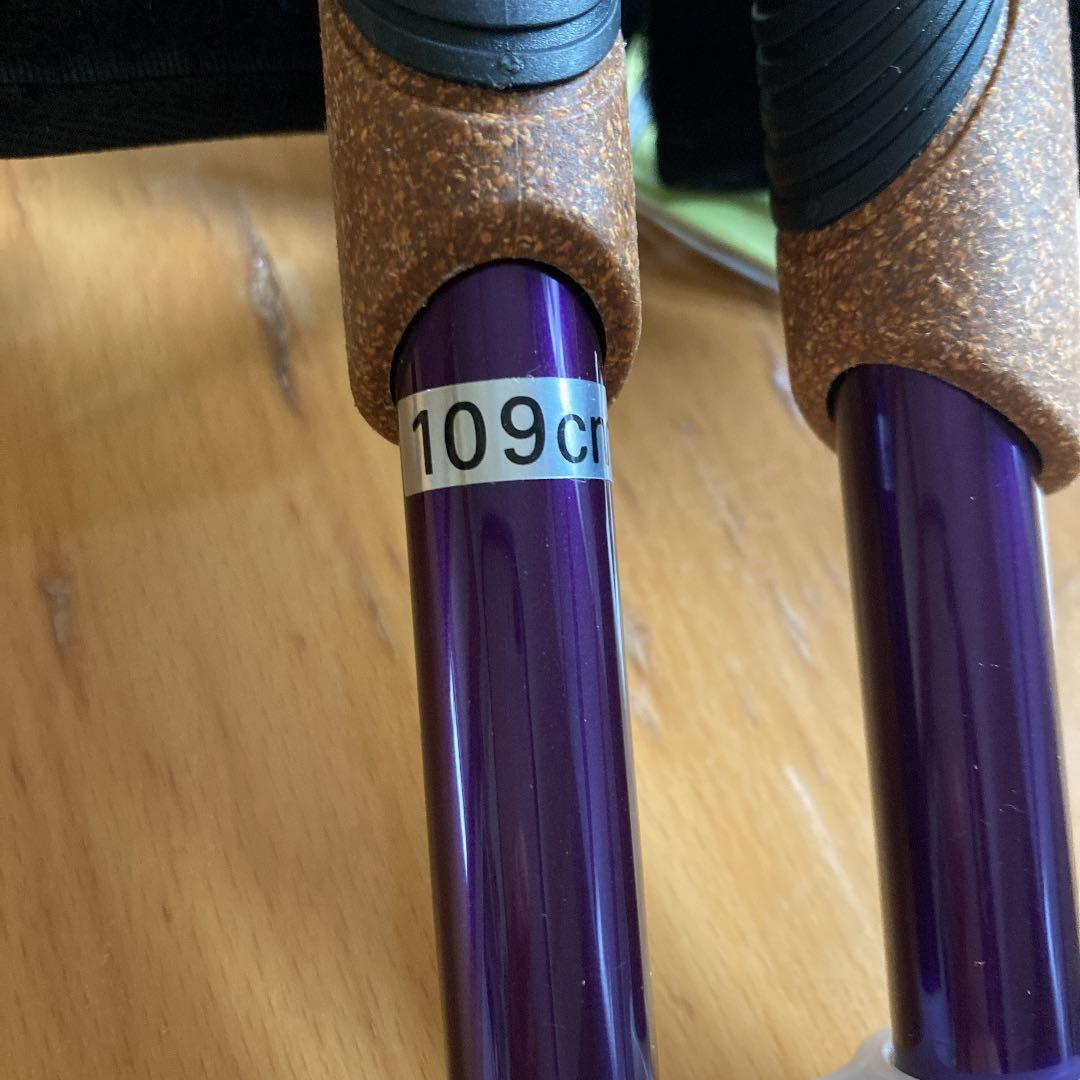 ノルディックウォーキングポール　2本セット