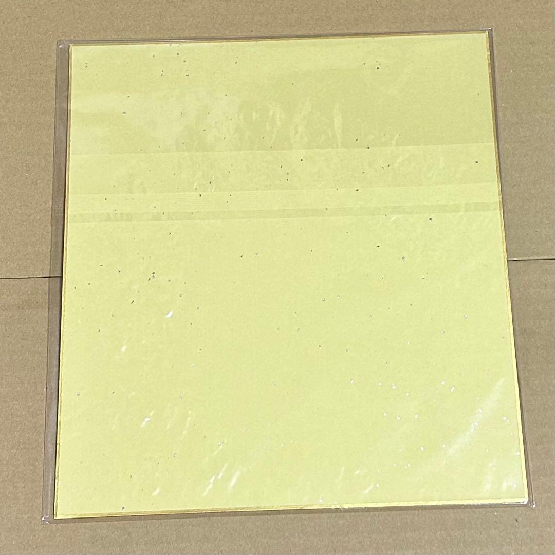 名探偵コナン 灰原哀 江戸川コナン 色紙 複製原画 特典