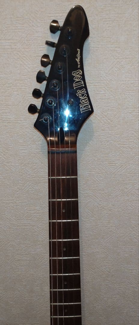 Aria Pro II アリアプロ2　Black Dog