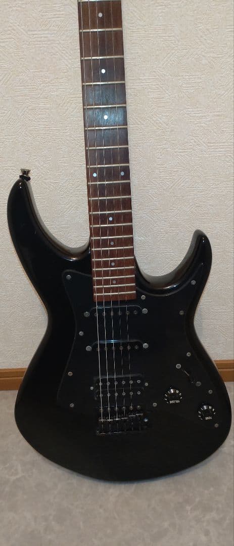 Aria Pro II アリアプロ2　Black Dog