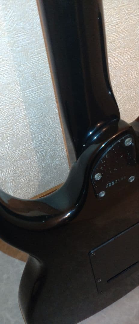 Aria Pro II アリアプロ2　Black Dog