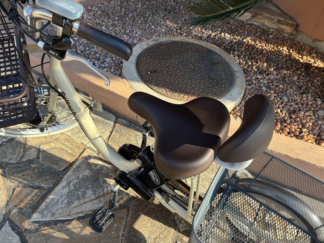 2025年3月購入品⭐︎電動アシスト自転車peltech tdr-163三輪自転車