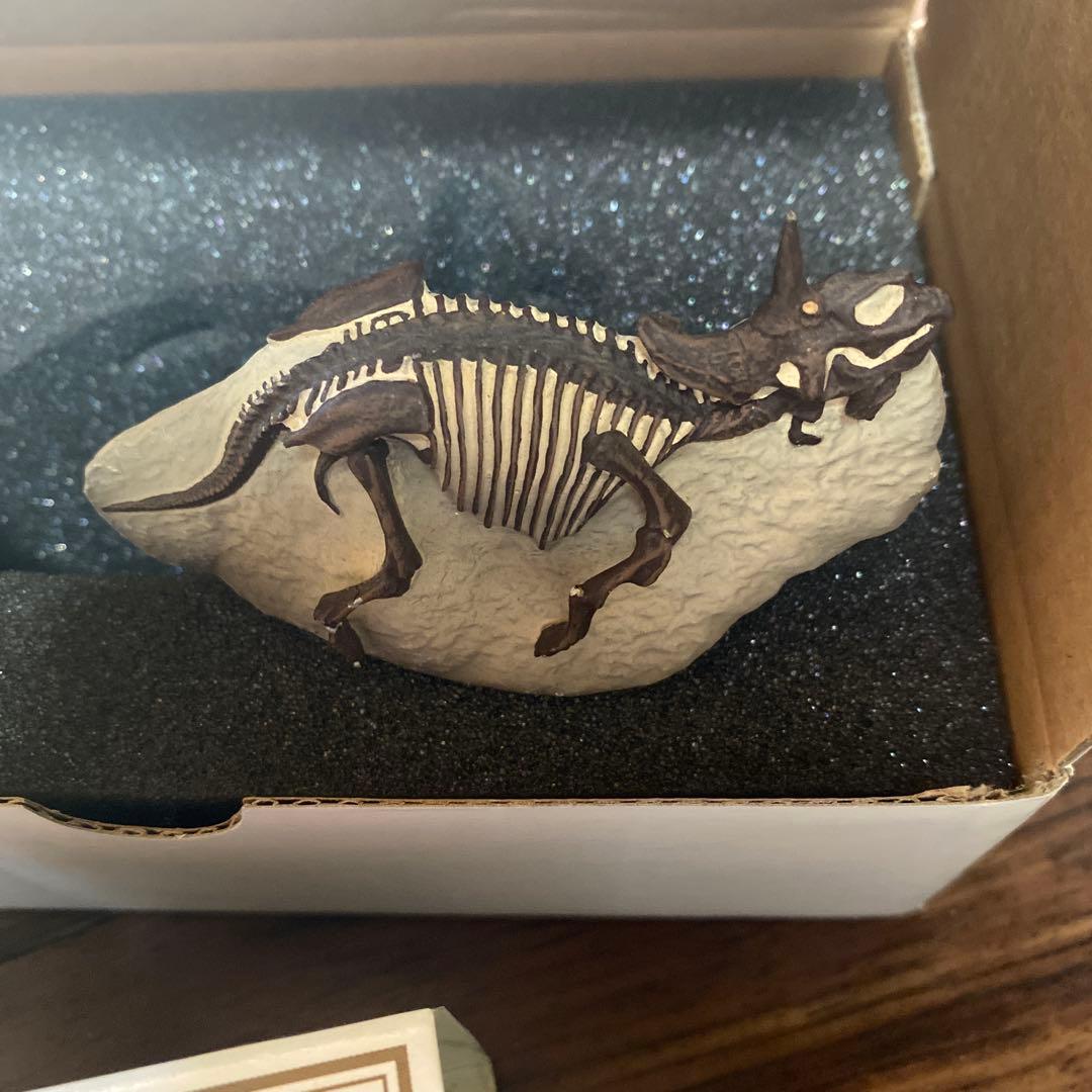 トリケラトプス・ホリッズ 再現モデル