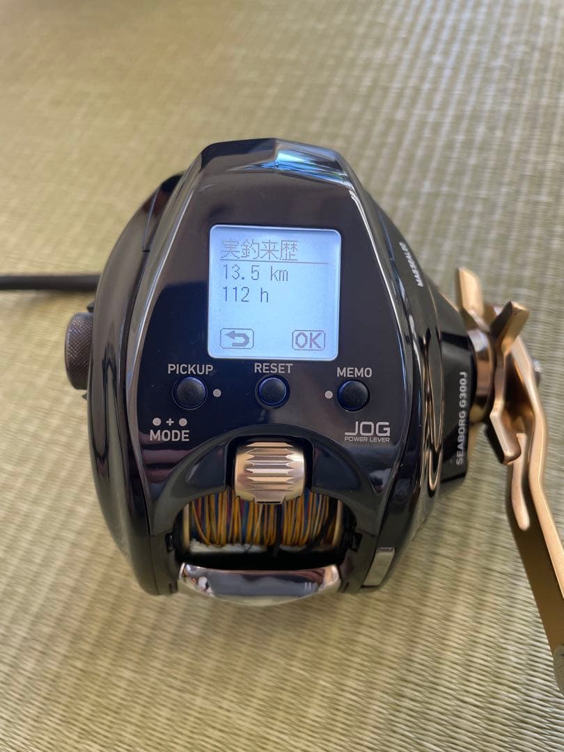 DAIWA SEABORG G300J ダイワ シーボーグ 21 G300J