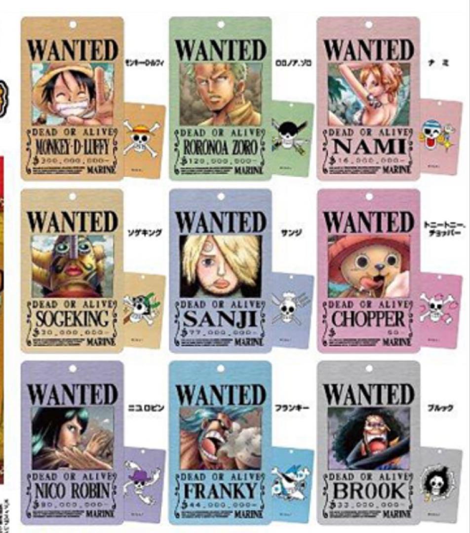 【レアアイテム】ワンピース メタル手配書Colorful（カラフル）