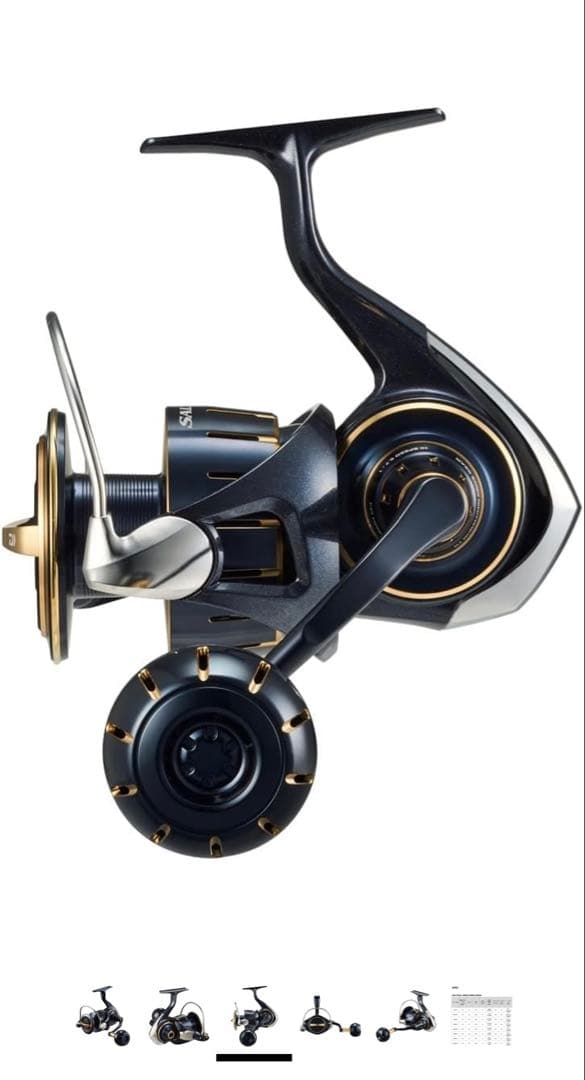 ダイワ　23ソルティガ6000P