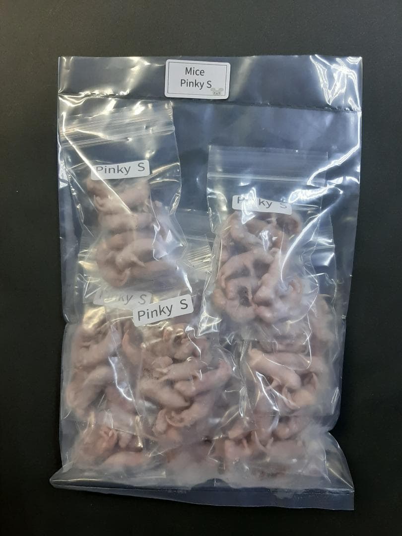 ★Lates101★国産冷凍マウス ピンクS 200匹