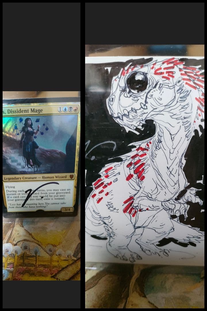 反体制魔道士、ケス　AP Foil