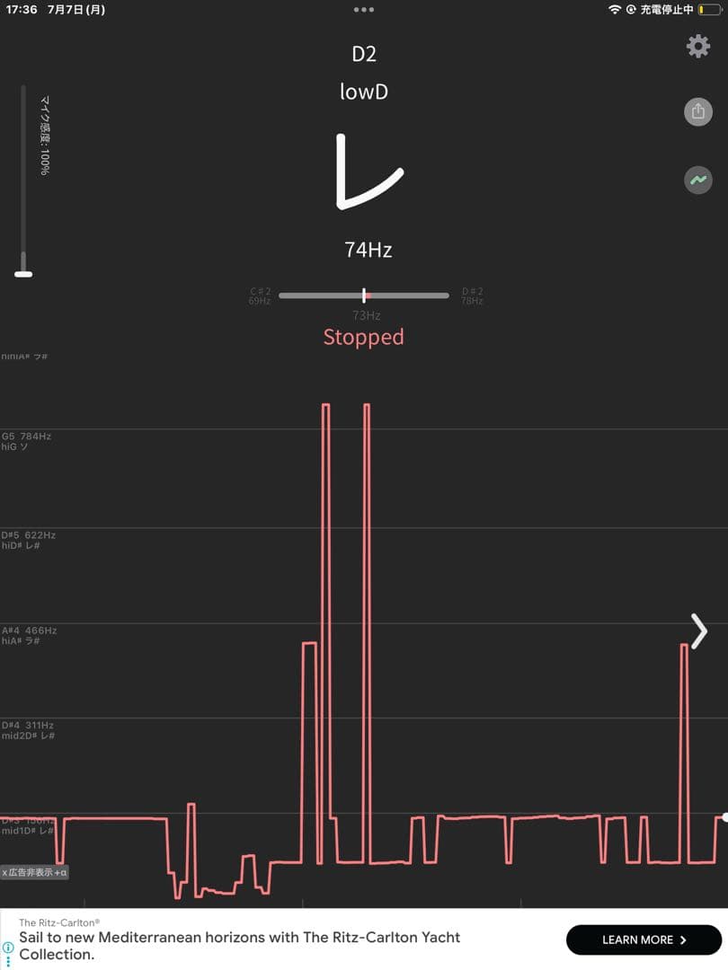 No29 チベット産 シンギングボウル 新品 チベタンボウル 23.3cm