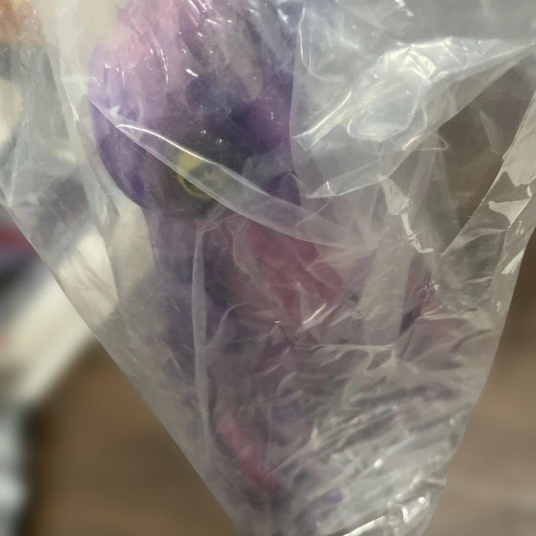 マルサンヘドラ TSUTAYA限定カラー 第3弾