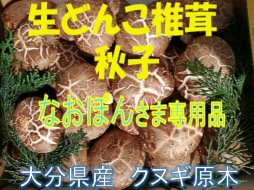 なおぽんさまご予約専用 大分県特産 生どんこ椎茸「秋子」ダブル1st