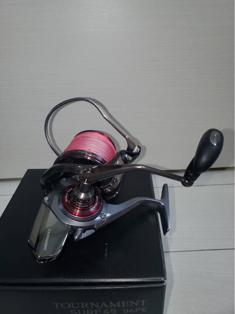 ダイワ13トーナメントサーフZ45 06PE