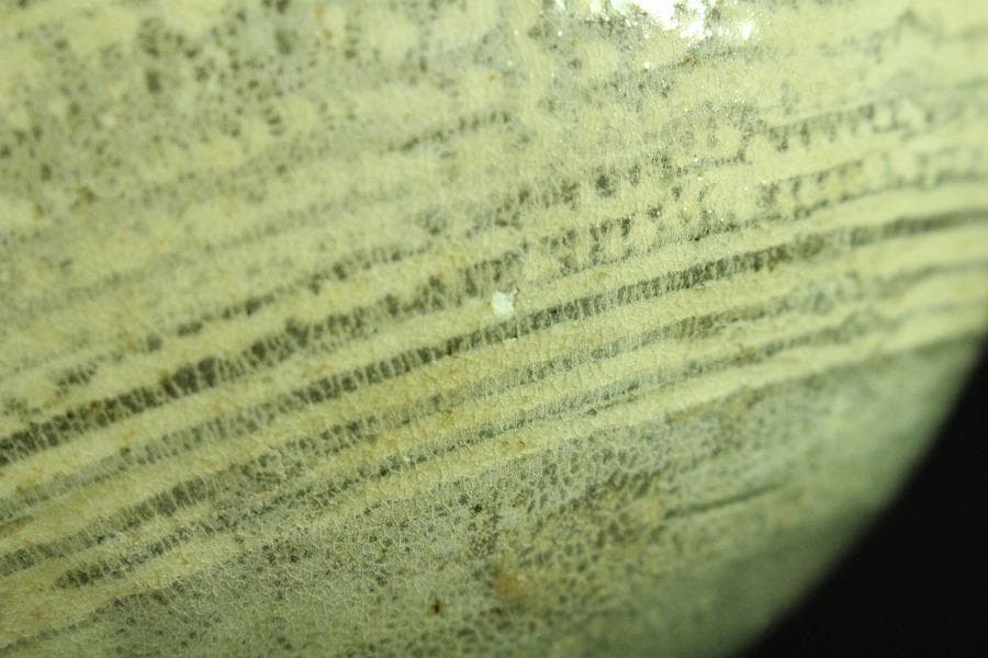 李朝 刷毛目 碗 時代物(K-A391)