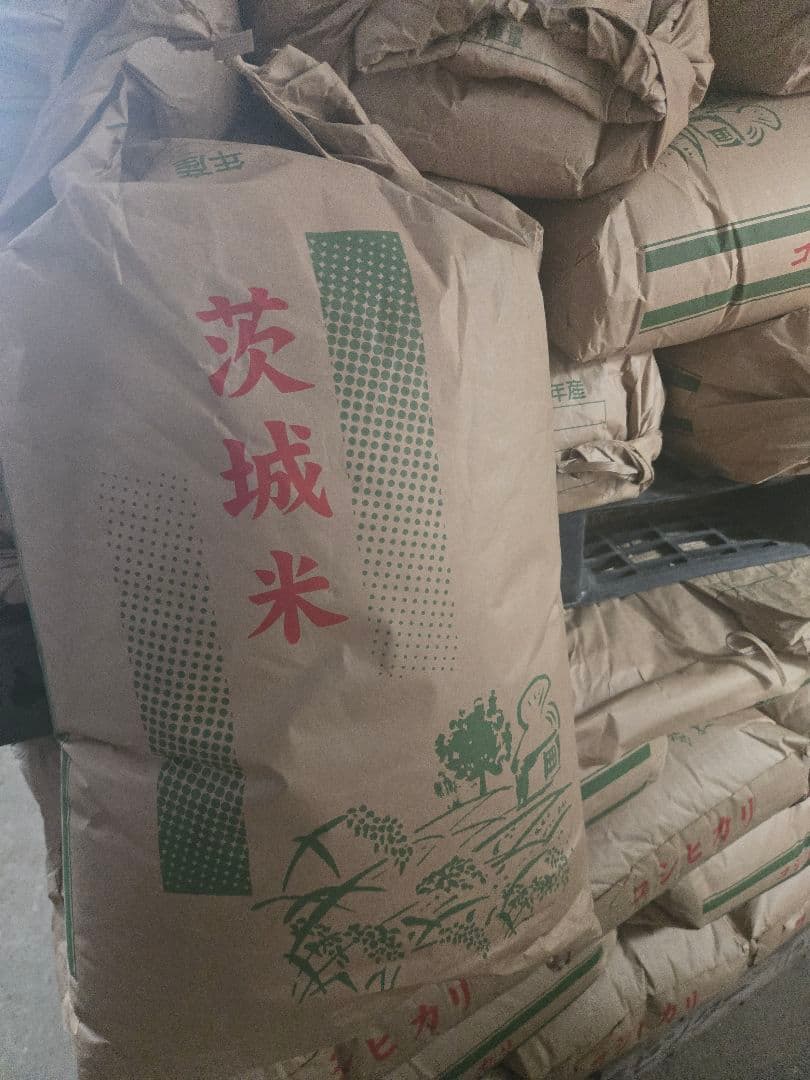 令和7年度　茨城産　コシヒカリ　30玄米
