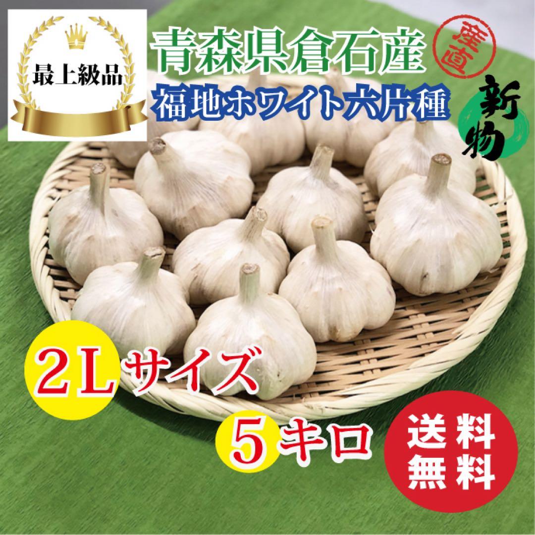 大特価‼︎【最上級品】青森県倉石産にんにく福地ホワイト六片種2Lサイズ 5kg