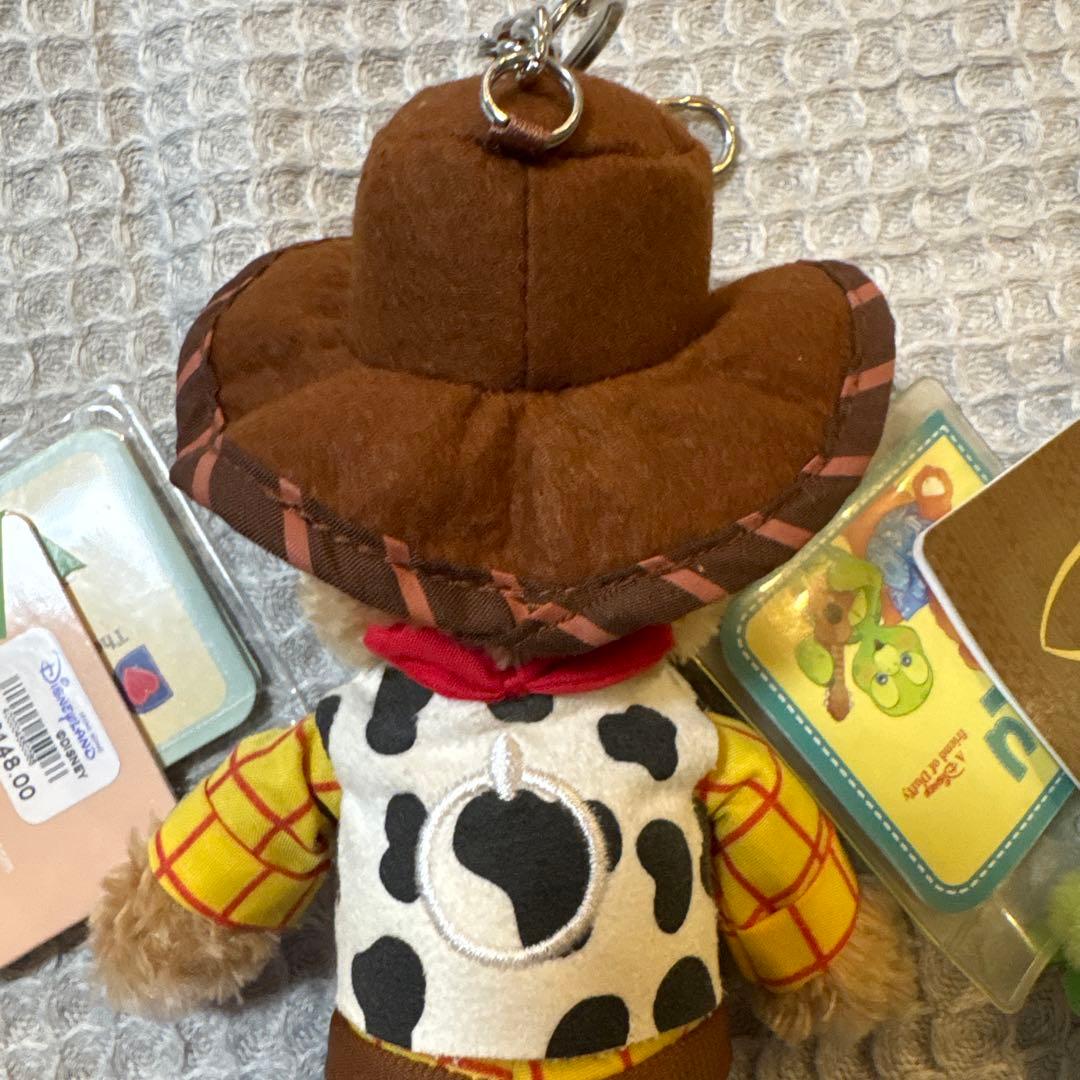 香港ディズニーウッディダッフィ　ハワイアウラニ　オル　キーホルダー　セット