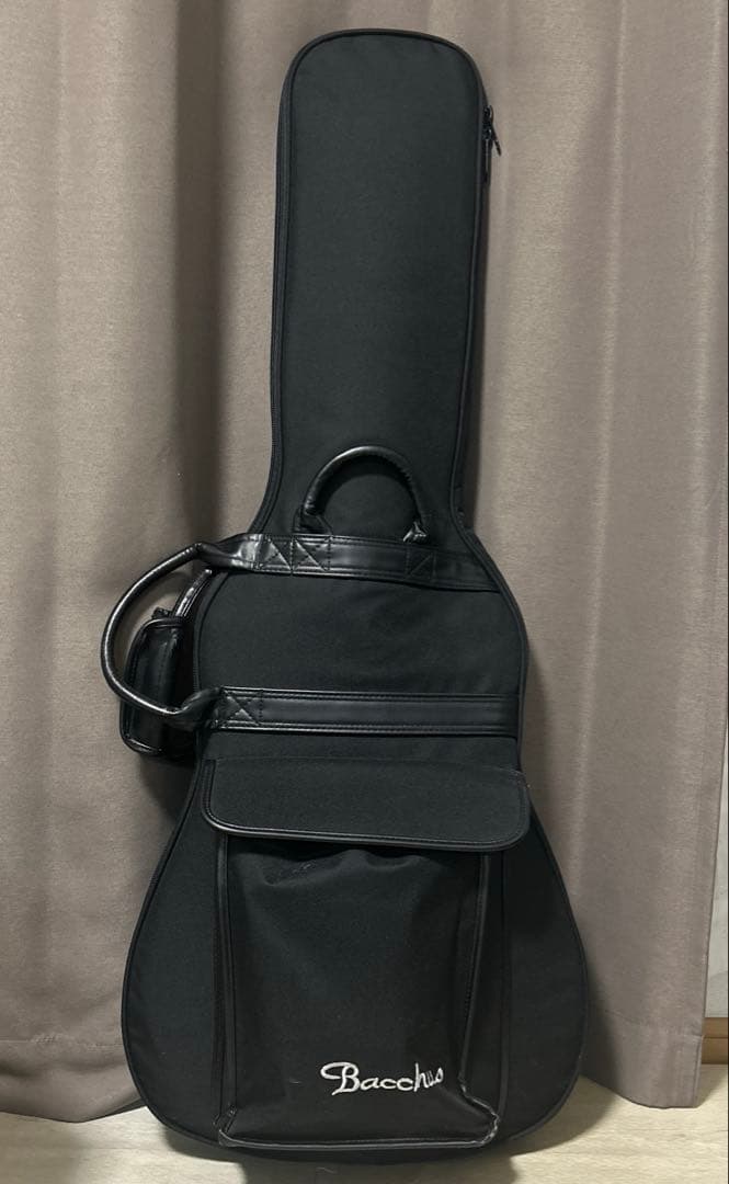 Bacchus Classic Series テレキャスター