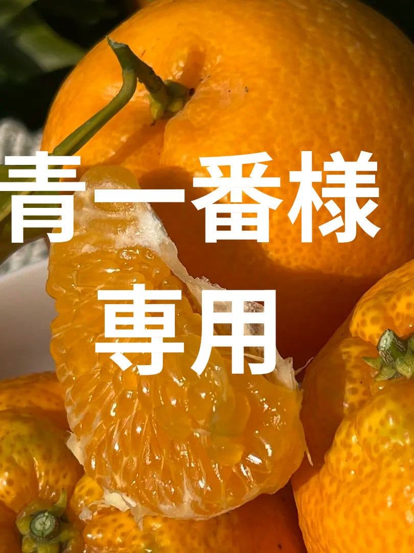 和歌山県由良町産　はるみ　10kg