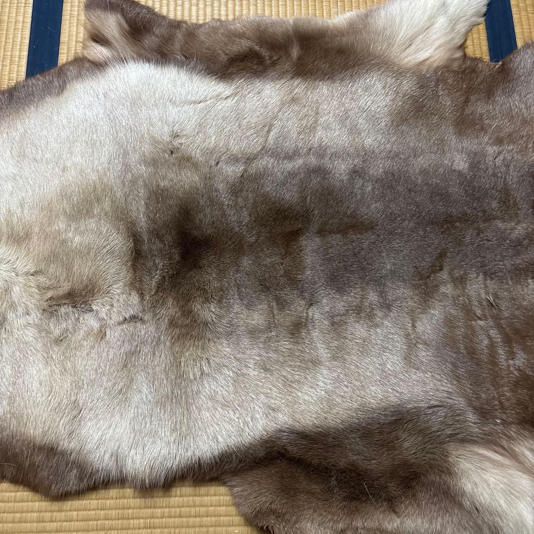 トナカイ毛皮　高級毛皮ラグ LARGE