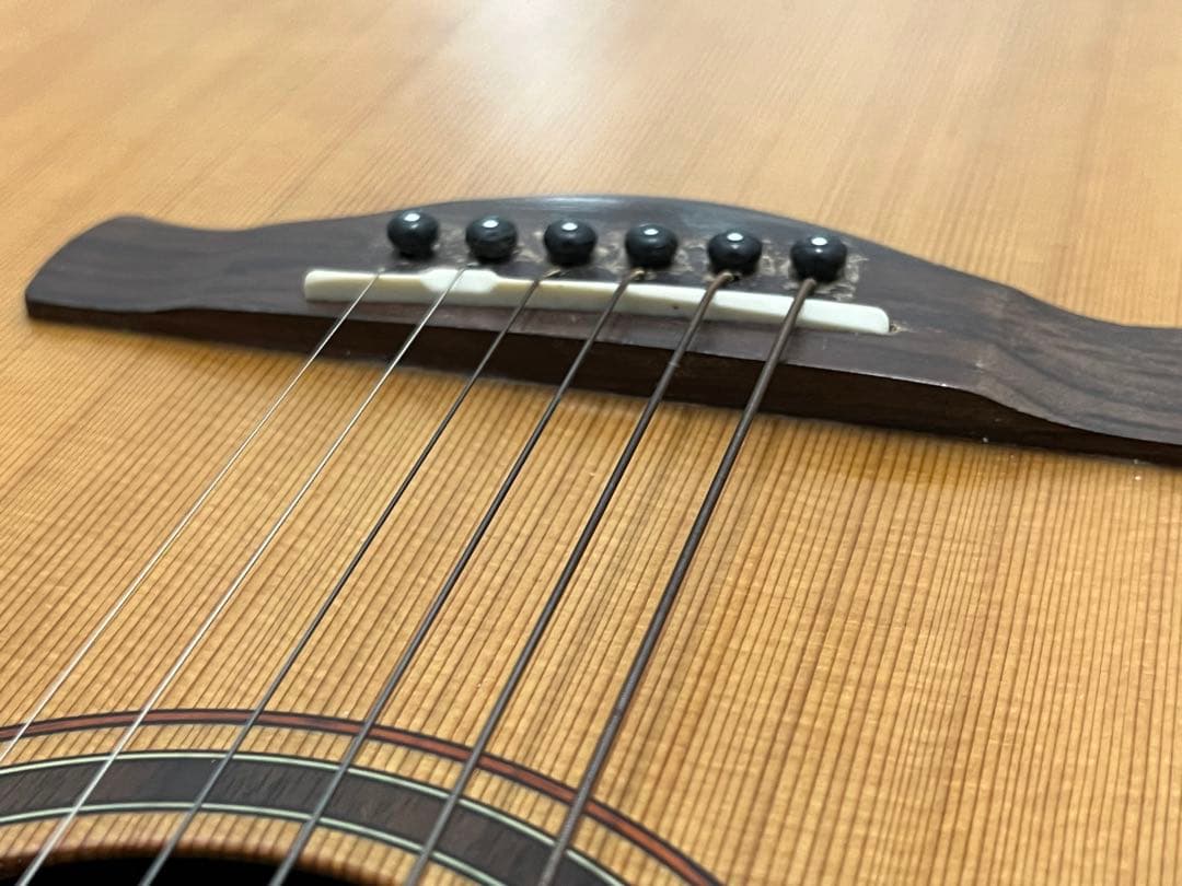 即発送 Ibanez Artwood AW250-LG