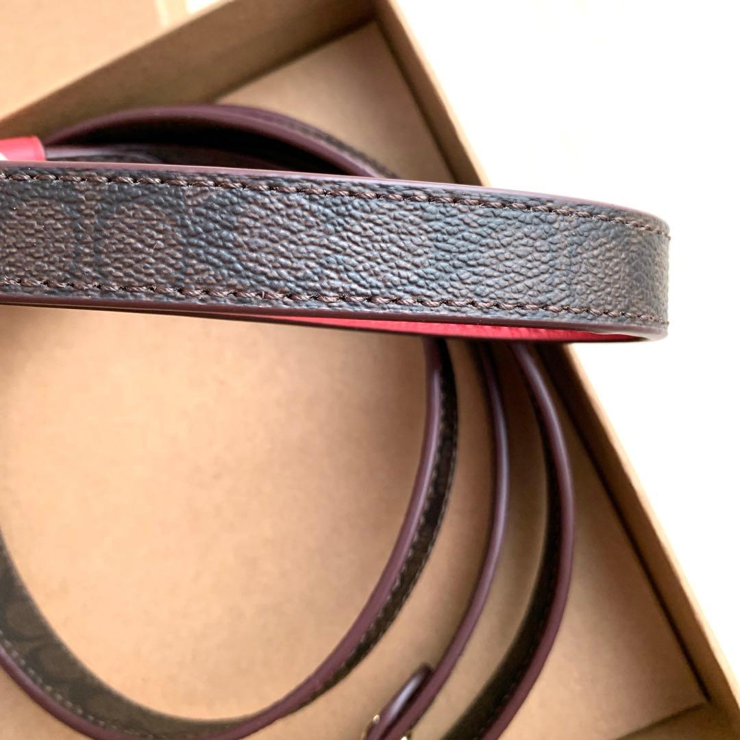 COACH コーチ　シグネチャー　赤　首輪　ドッグ　リード 小型犬　犬　ペット