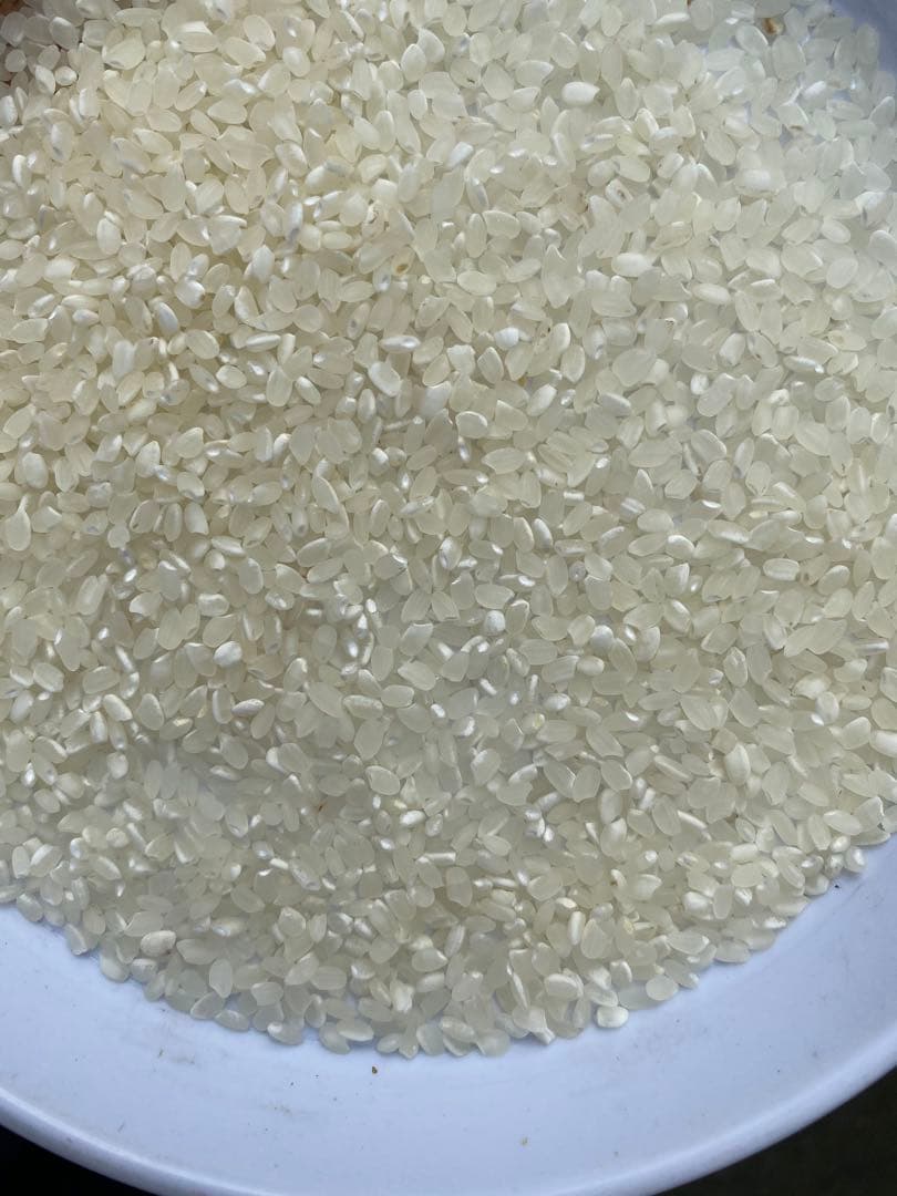 丹波産　コシヒカリ　中米　20キロ