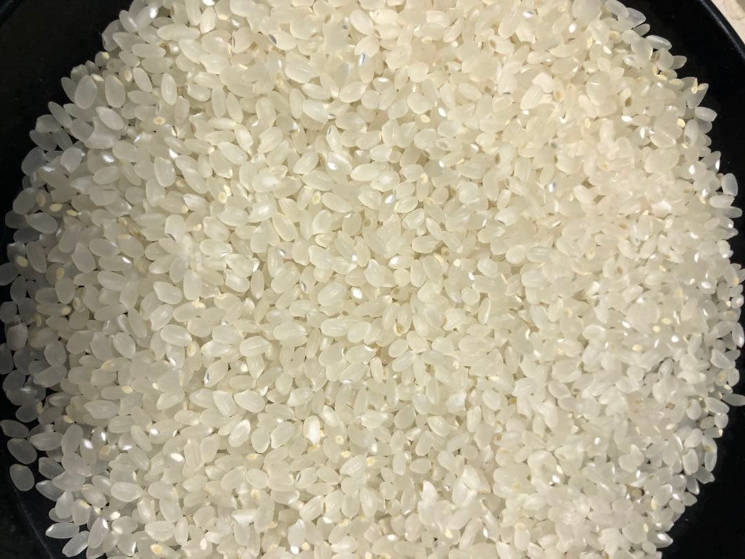 栃木県産農家直売ゆうだい21白米9kg