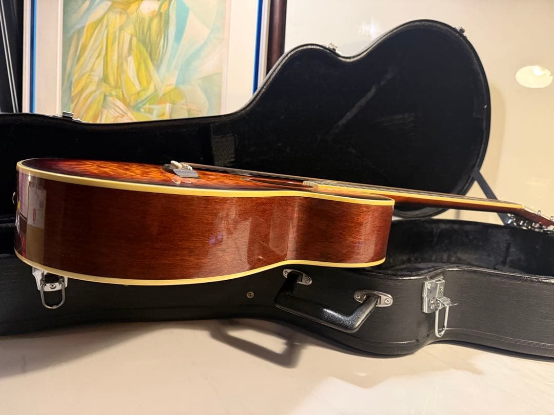 Ibanez アコースティックギター ハードケース付