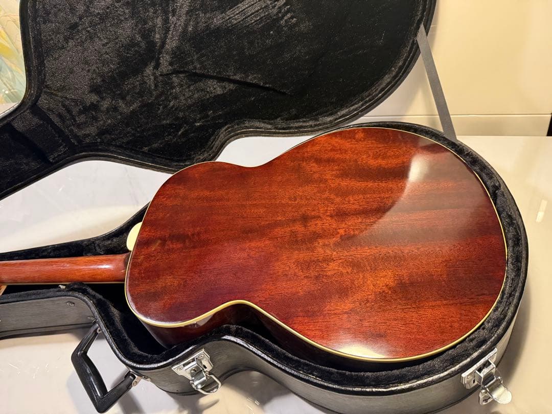 Ibanez アコースティックギター ハードケース付