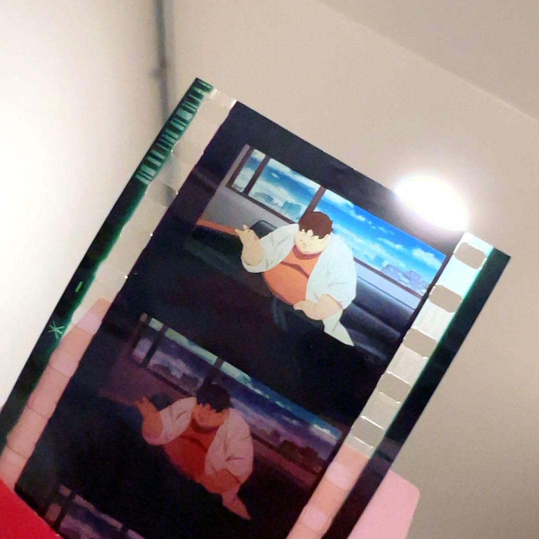 パプリカ 生フィルム 9枚セット