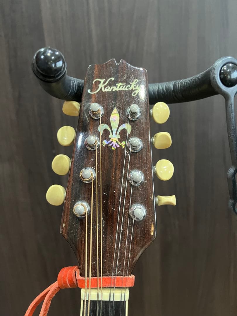 kentucky マンドリン　サンイン入り　日本製