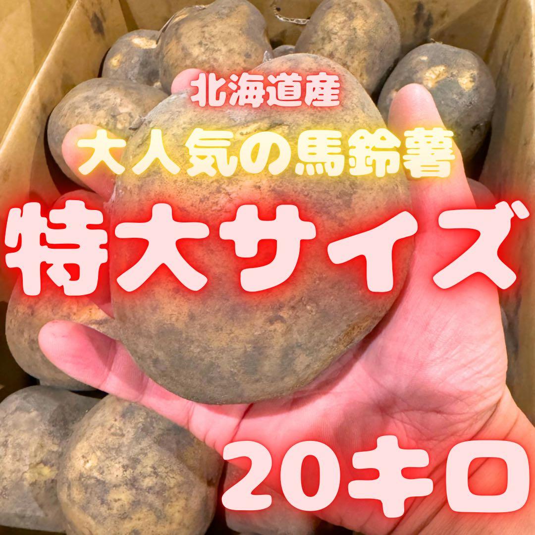 ジャンボサイズ　数量限定　じゃがいも　06
