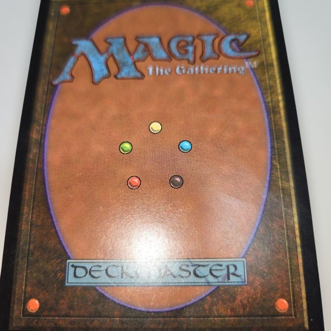 適者生存　日本語版