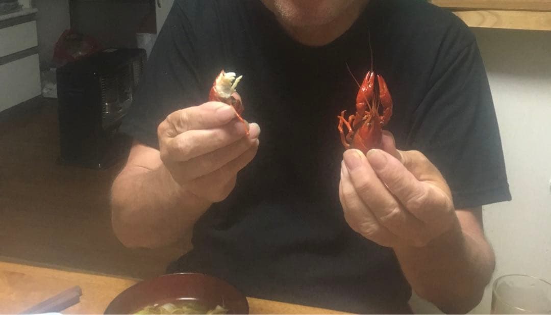 【れんげ米　玄米20.0kg コシヒカリ又はあさひの夢】　栽培期間中農薬不使用