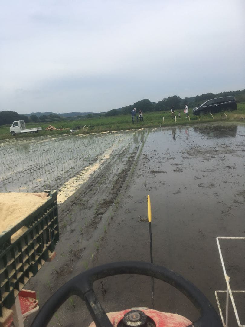 【れんげ米　玄米20.0kg コシヒカリ又はあさひの夢】　栽培期間中農薬不使用