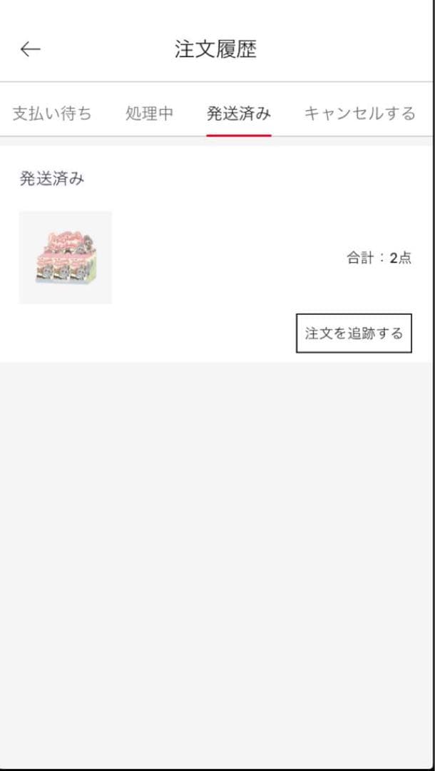 正規品・未開封LABUBU ラブブ EXCITING MACARON 2箱