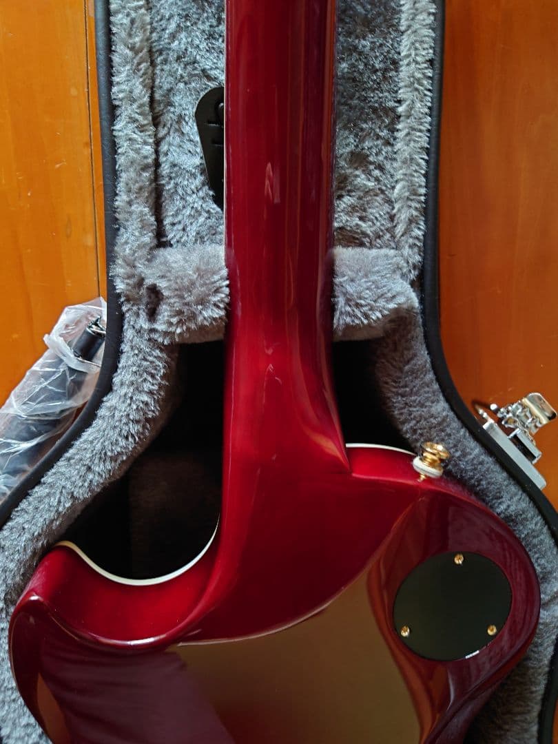 エピフォン レスポールカスタム Alex Lifeson Axcess