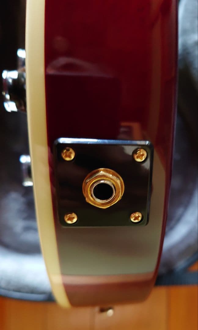 エピフォン レスポールカスタム Alex Lifeson Axcess